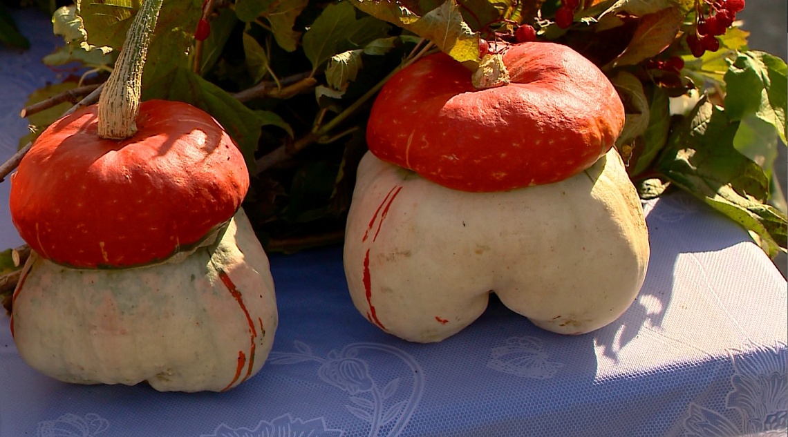 В Пензе прошла ярмарка-презентация продукции местных товаропроизводителей