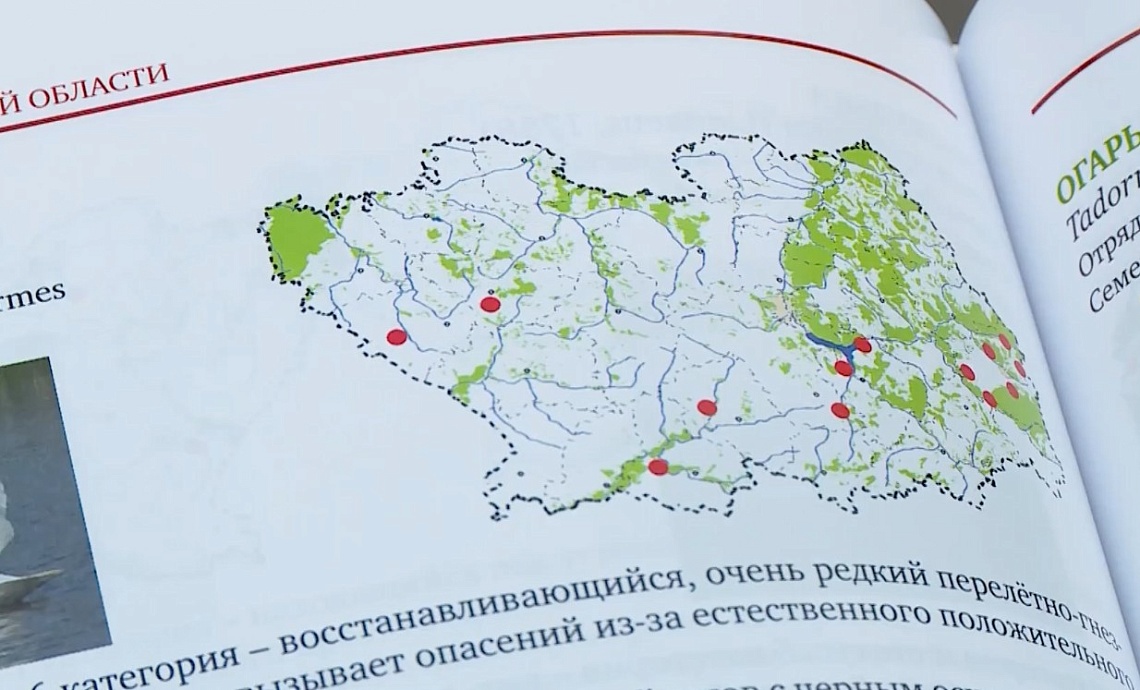 В Шемышейском районе на одном из водоемов провели настоящую спасательную операцию